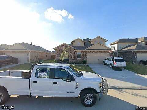 Blue Pansy, KATY, TX 77449