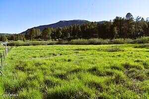 N County Road N2062 -- -, Alpine, AZ 85920