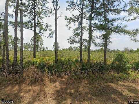 Carillo, SEBRING, FL 33872