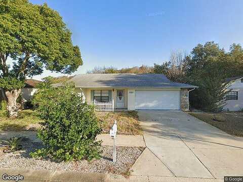 Zane, PORT RICHEY, FL 34668