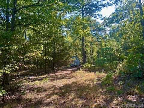 825 Piney Road, Shirley, AR 72153