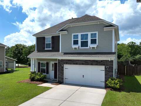 127 Ventnor Avenue, Chapin, SC 29036