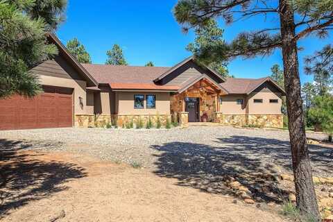 122 Backcountry Drive, Pagosa Springs, CO 81147