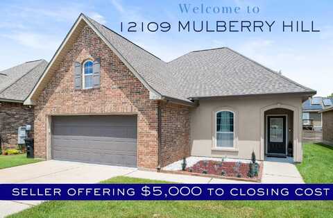 12109 Mulberry Hill Ave, Baton Rouge, LA 70816