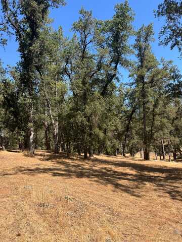 5578-5489 Railroad Flat Road, Mountain Ranch, CA 95246