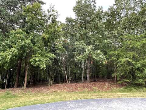 135 Deep Water Court, New London, NC 28127