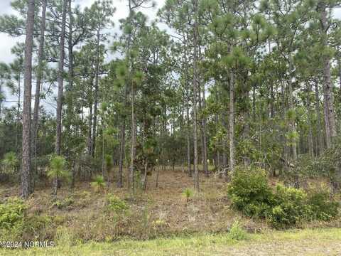 5 Lots Madison/Monroe Road, Boiling Spring Lakes, NC 28461