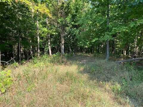 1000 Hidden Acres, Mount Olivet, KY 41064