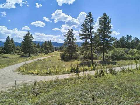 170 High Drive, Pagosa Springs, CO 81147