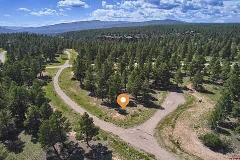 193 Mansions Circle, Pagosa Springs, CO 81147