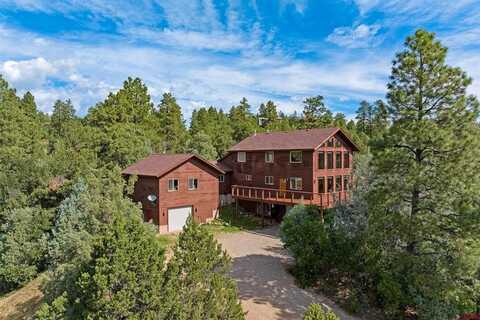 199 Logging Trail Road, Durango, CO 81301