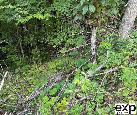 0000 Conley Drive, Maggie Valley, NC 28751