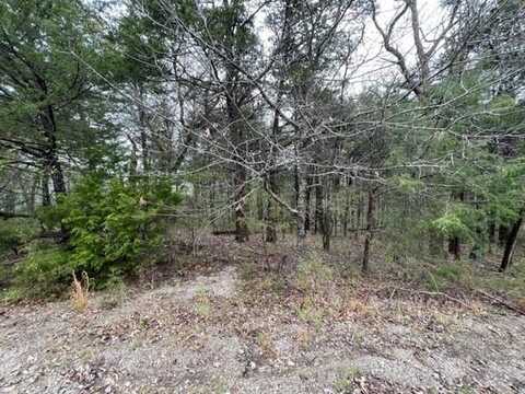 26 Table Rock DR, Holiday Island, AR 72631