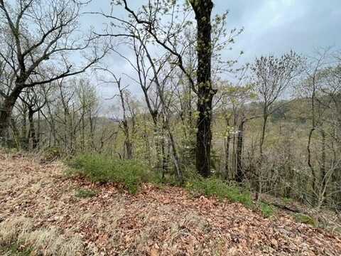 20 Serenity LN, Holiday Island, AR 72631