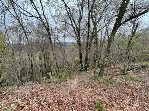 18 Serenity LN, Holiday Island, AR 72631