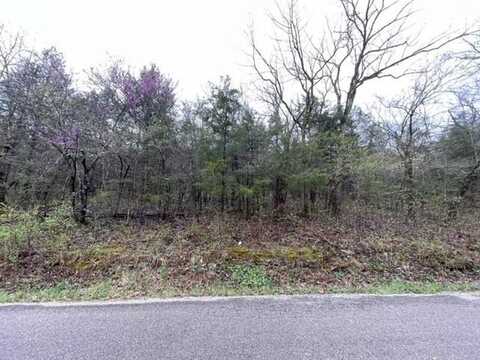 95 Wild Turkey DR, Holiday Island, AR 72631