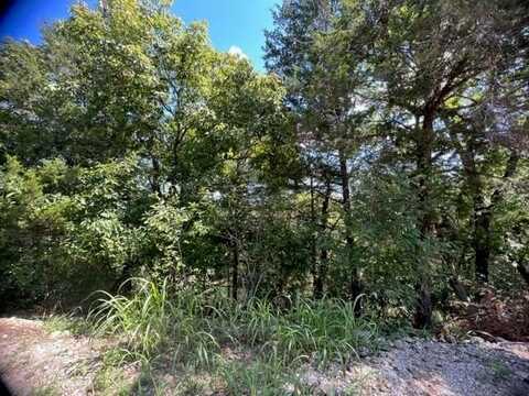 24 Beaver DR, Holiday Island, AR 72631