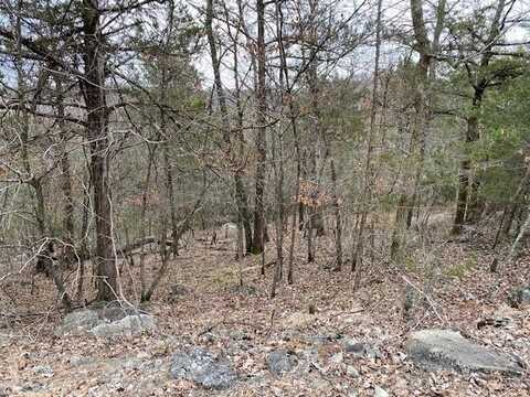 125 Beaver CIR, Holiday Island, AR 72631