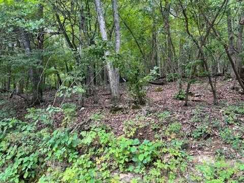 80 Stateline DR, Holiday Island, AR 72631