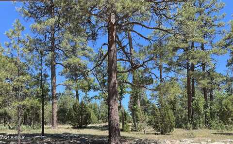 2004 SUGAR PINE Drive, Happy Jack, AZ 86024