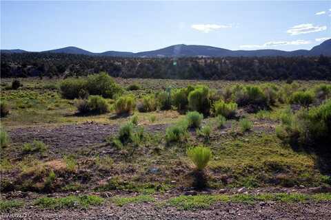 Duck Creek Development, Ely, NV 89301