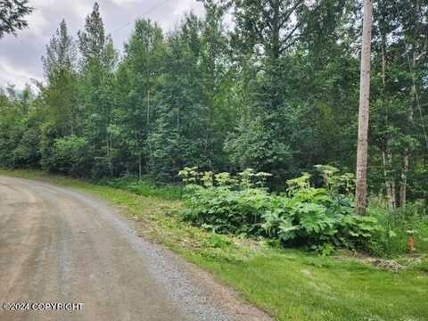 5410 E Tamerack Circle, Wasilla, AK 99654