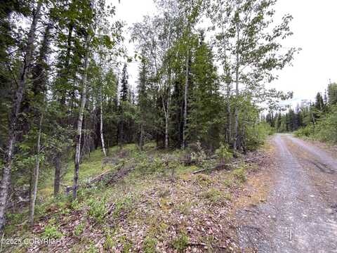 33555 New Don Street, Soldotna, AK 99669