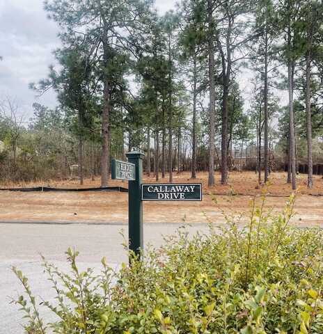 Lot 7 Callaway Drive, Graniteville, SC 29829