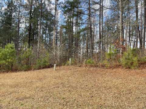 Lot L-22 Militia Loop, North Augusta, SC 29860