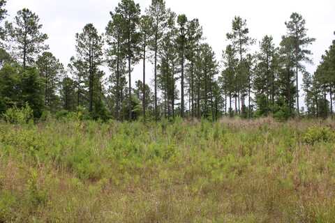 0 (lot 3) New Holland Road, Aiken, SC 29804