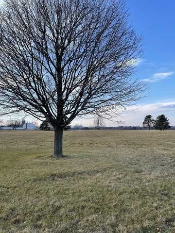 17408 Wildflower Circle, Union, IL 60180