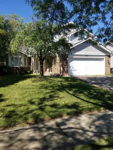 1607 LOIS ANN Lane, Naperville, IL 60563