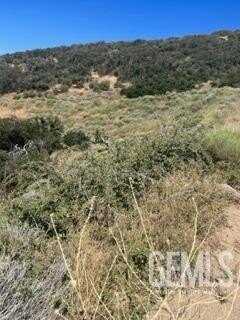 17601 Matterhorn Drive, Tehachapi, CA 93561