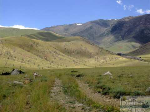 Nhn Ruby Creek Road, Belfry, MT 59008