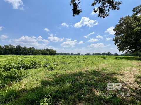 0 Wilmer Road, Wilmer, AL 36587