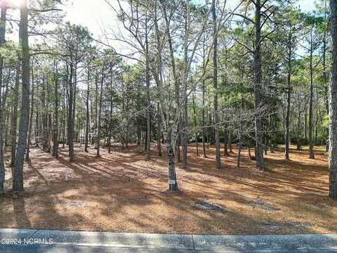 609 Pontalba Drive SW, Supply, NC 28462