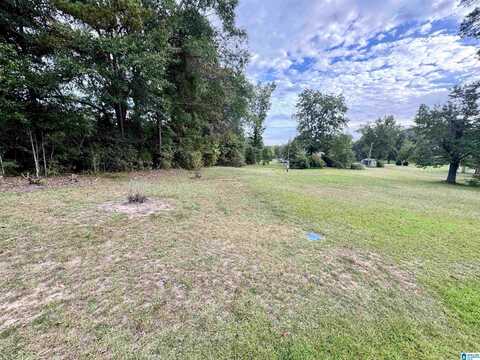 40 LOPER LANE, MAPLESVILLE, AL 36750