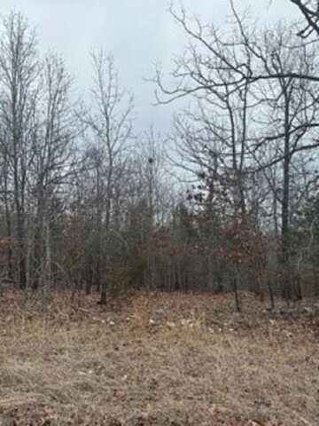 Lot 14 & 15 Buckhead Lane, Mountain Home, AR 72653