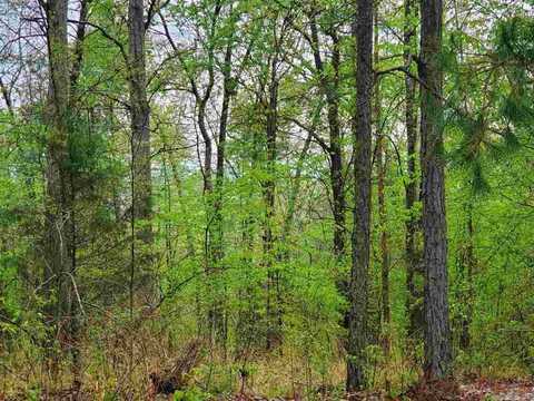 lot 770A Plum Hollow, Hot Springs, AR 71913