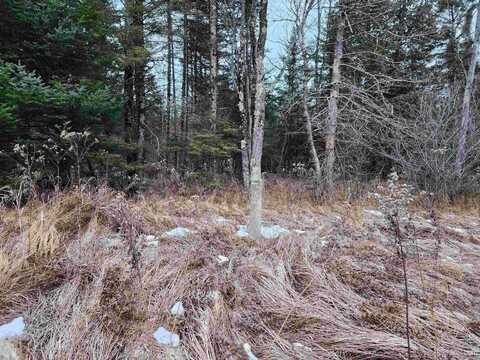 28 ACRES US2, RAPID RIVER, MI 49878