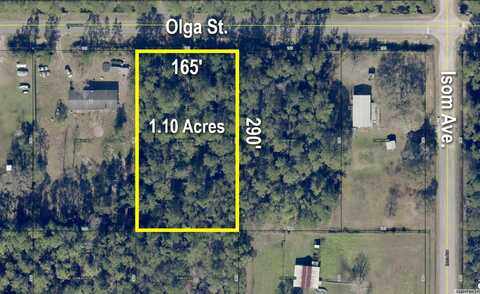 4425 OLGA ST, HASTINGS, FL 32145