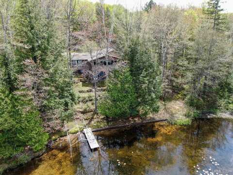 1605 ENGMAN LAKE, SKANDIA, MI 49885