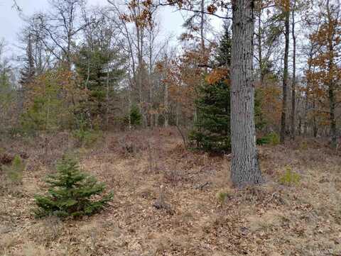 TBD SCHAAWE LAKE 24TH LANE, RAPID RIVER, MI 49878