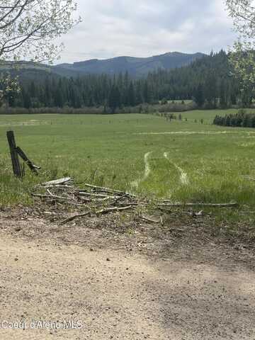 Nka 100 Windfall Pass Rd, Saint Maries, ID 83861