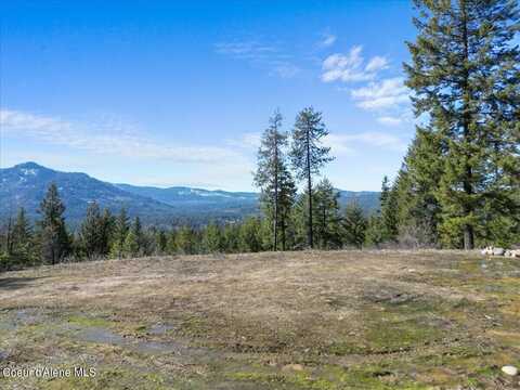 245 Mount Smith Est, Cocolalla, ID 83813