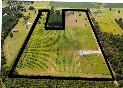 759 Pitts Rd., Hawkinsville, GA 31036