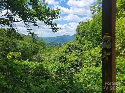 1905 Chambers Mountain Road, Clyde, NC 28721