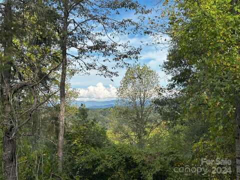 Tbd Cabin Hollow Drive, Marshall, NC 28753