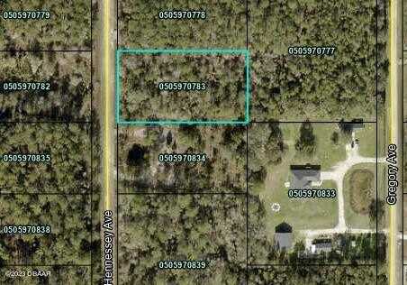 10260 Hennessey Avenue, Hastings, FL 32145