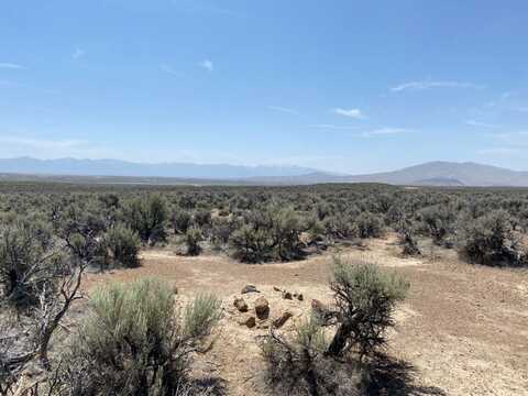 26th (Twin Rivers Rancho) Street, Ryndon, NV 89801